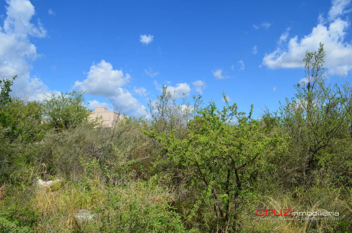 Lotes de 1130m2 en Zona Alta de Carpinteria - imagen 6