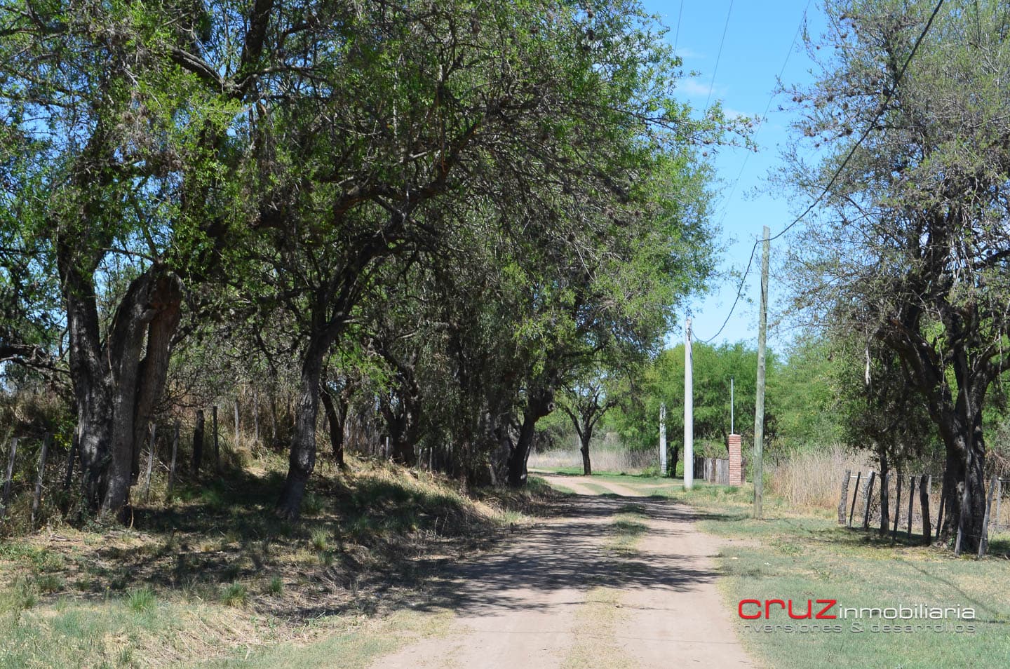 Lote de 1525m2 en Cerro de Oro – Merlo - imagen 13