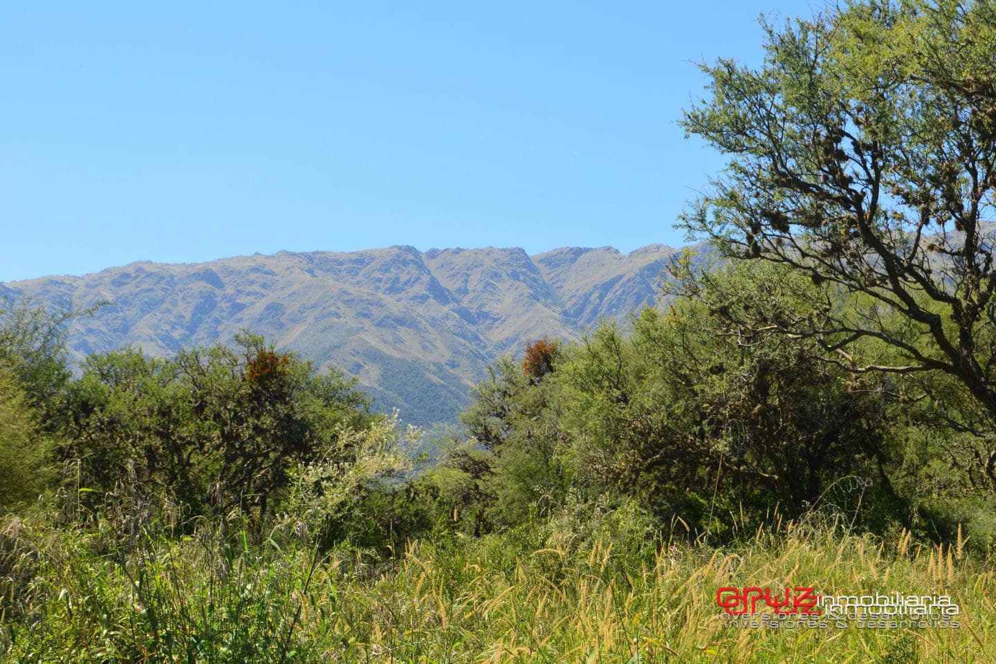 Lotes de 1048m2 en Zona alta de Carpinteria - imagen 15