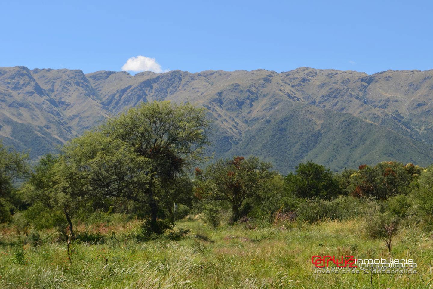 Lotes de 1048m2 en Zona alta de Carpinteria - imagen 6
