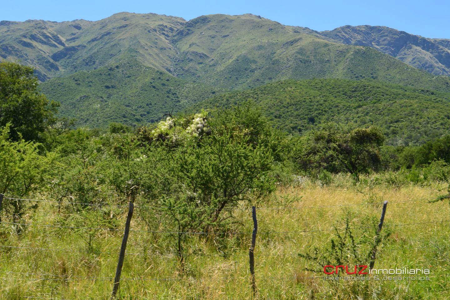 Lote de 9413m2 en Zona Alta de Los Molles - imagen 8