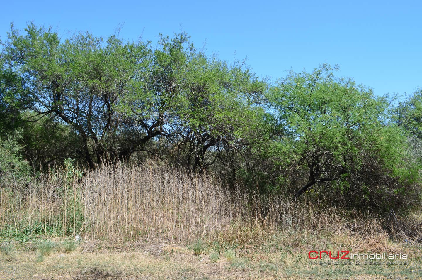 Lote de 1525m2 en Cerro de Oro – Merlo - imagen 10