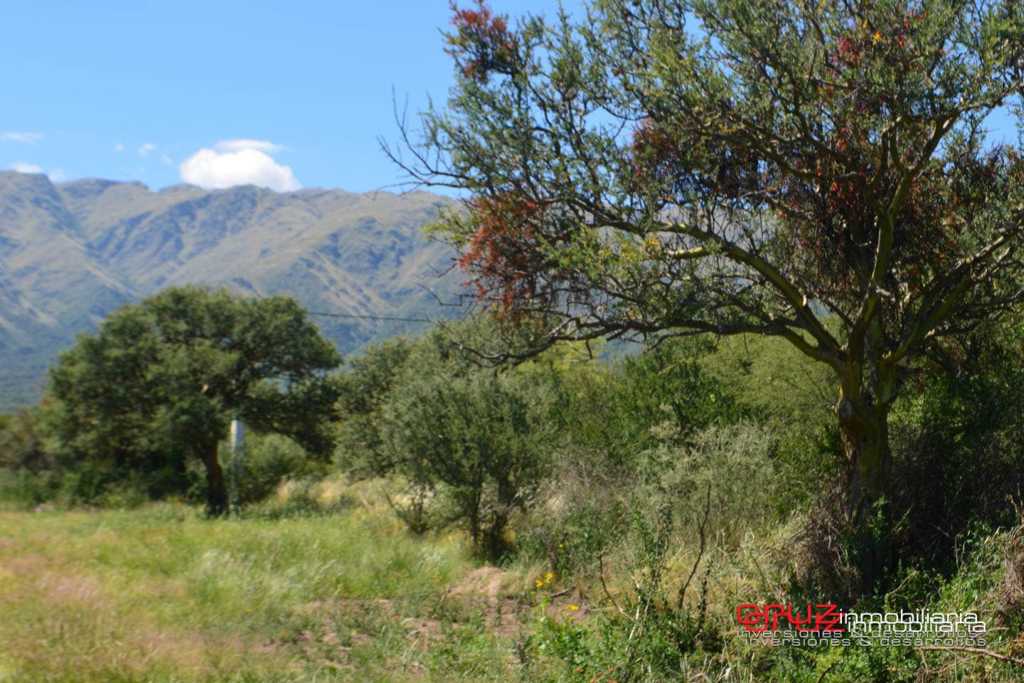 Lotes de 1048m2 en Zona alta de Carpinteria - imagen 5