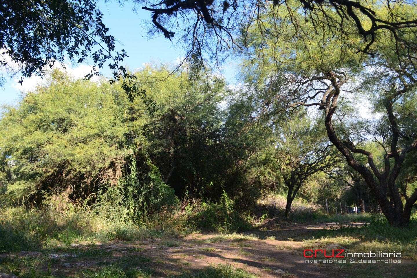 Lote de 643m2 en Carpinteria - imagen 11