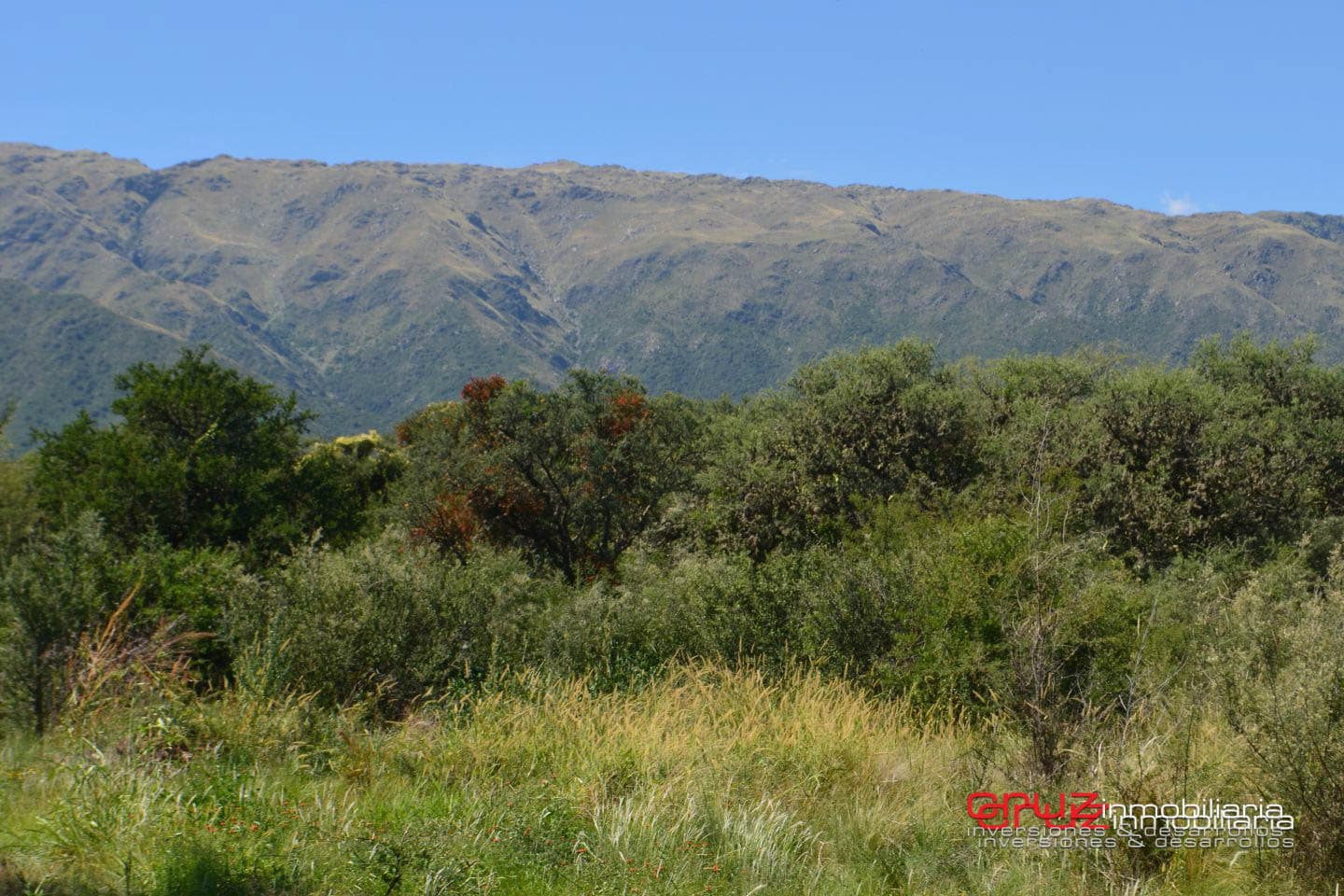 Lotes de 1048m2 en Zona alta de Carpinteria - imagen 3