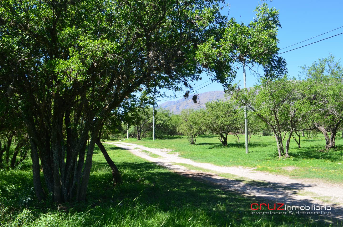 Lote Céntrico en Merlo 800m2 - imagen 13