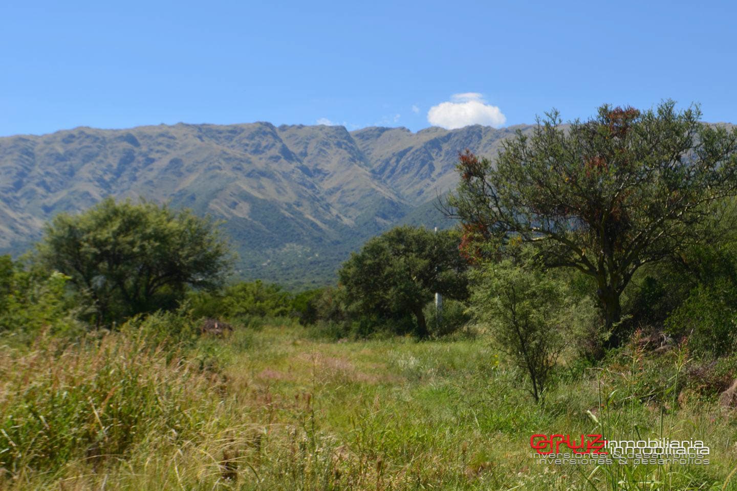 Lotes de 1048m2 en Zona alta de Carpinteria - imagen 4