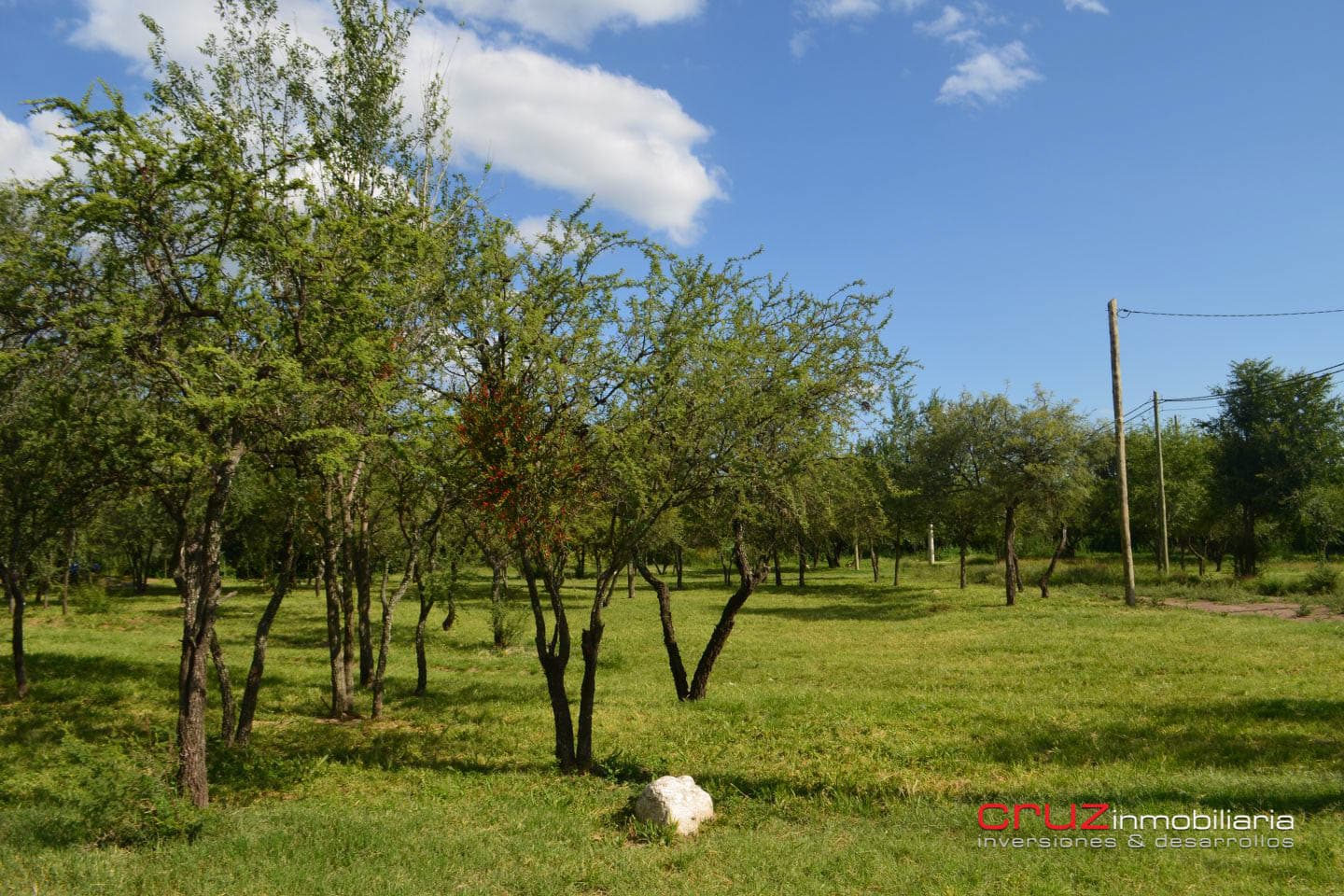 Lotes de 350m2 en Merlo - imagen 8