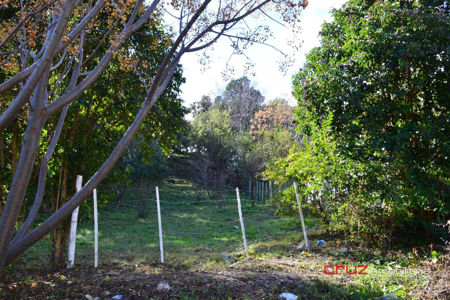 Lote de 790m2 en el Rincón del Este, Merlo - imagen 12