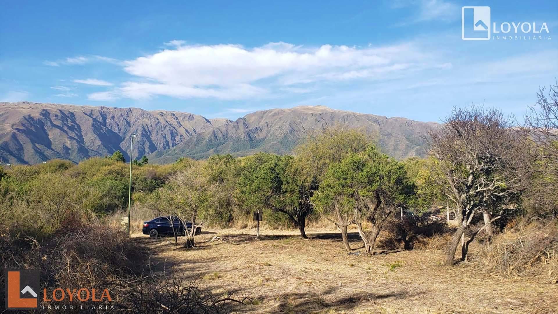Oportunidad Lote Ubicado En Estacion Villa Elena S/N - imagen 4