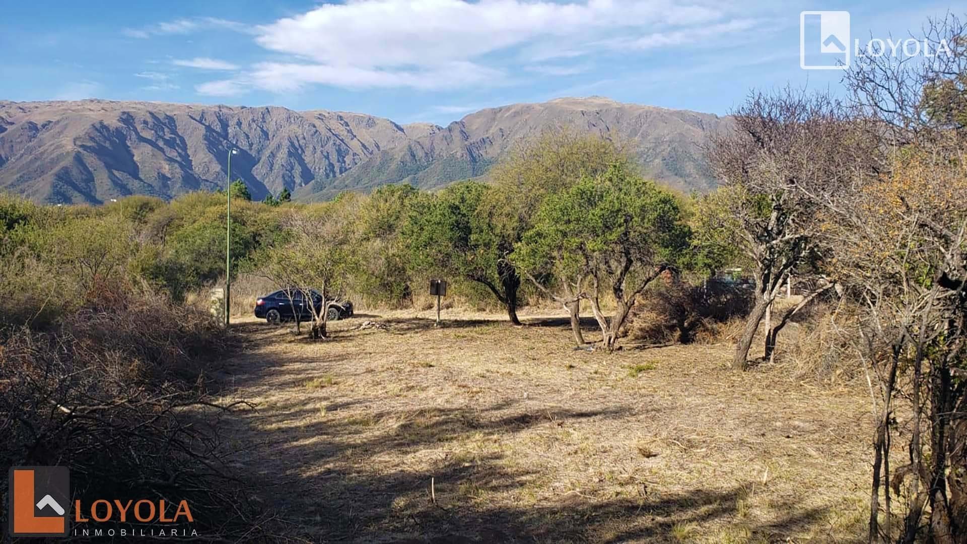 Oportunidad Lote Ubicado En Estacion Villa Elena S/N - imagen 6