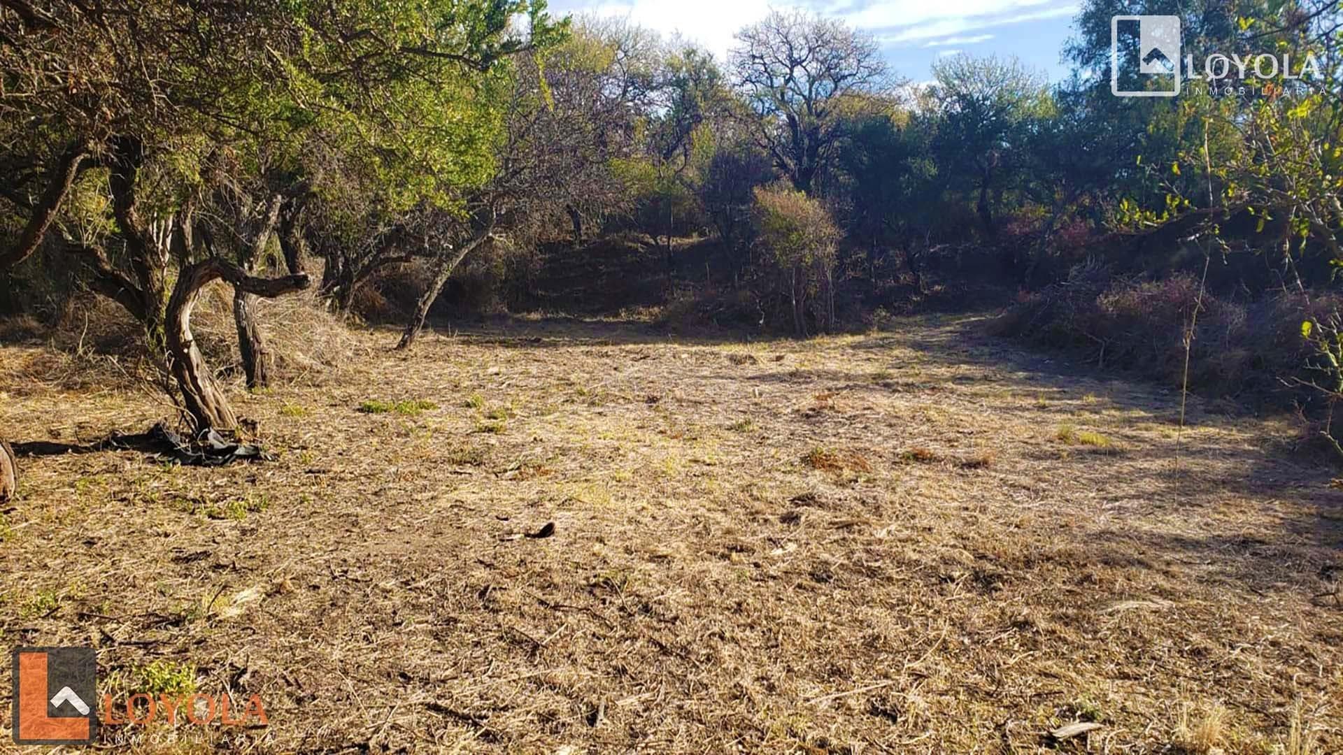 Oportunidad Lote Ubicado En Estacion Villa Elena S/N - imagen 7