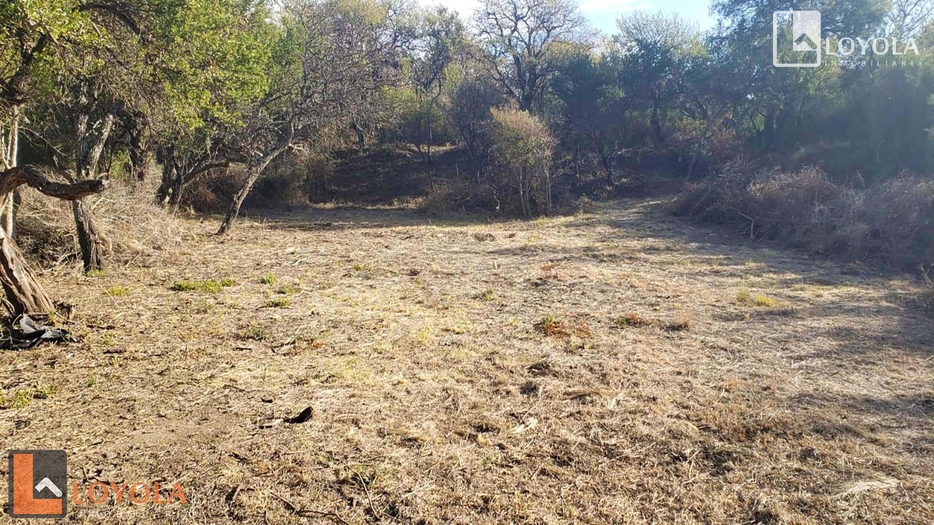 Oportunidad Lote Ubicado En Estacion Villa Elena S/N - imagen 8