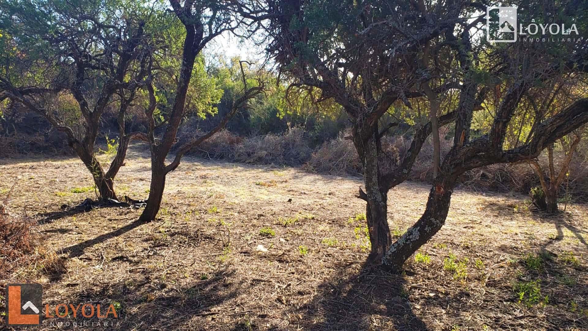 Oportunidad Lote Ubicado En Estacion Villa Elena S/N - imagen 9