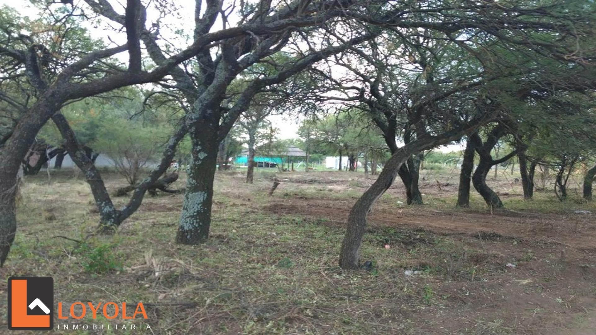 Doroteo Olmedo N° 800 - imagen 10