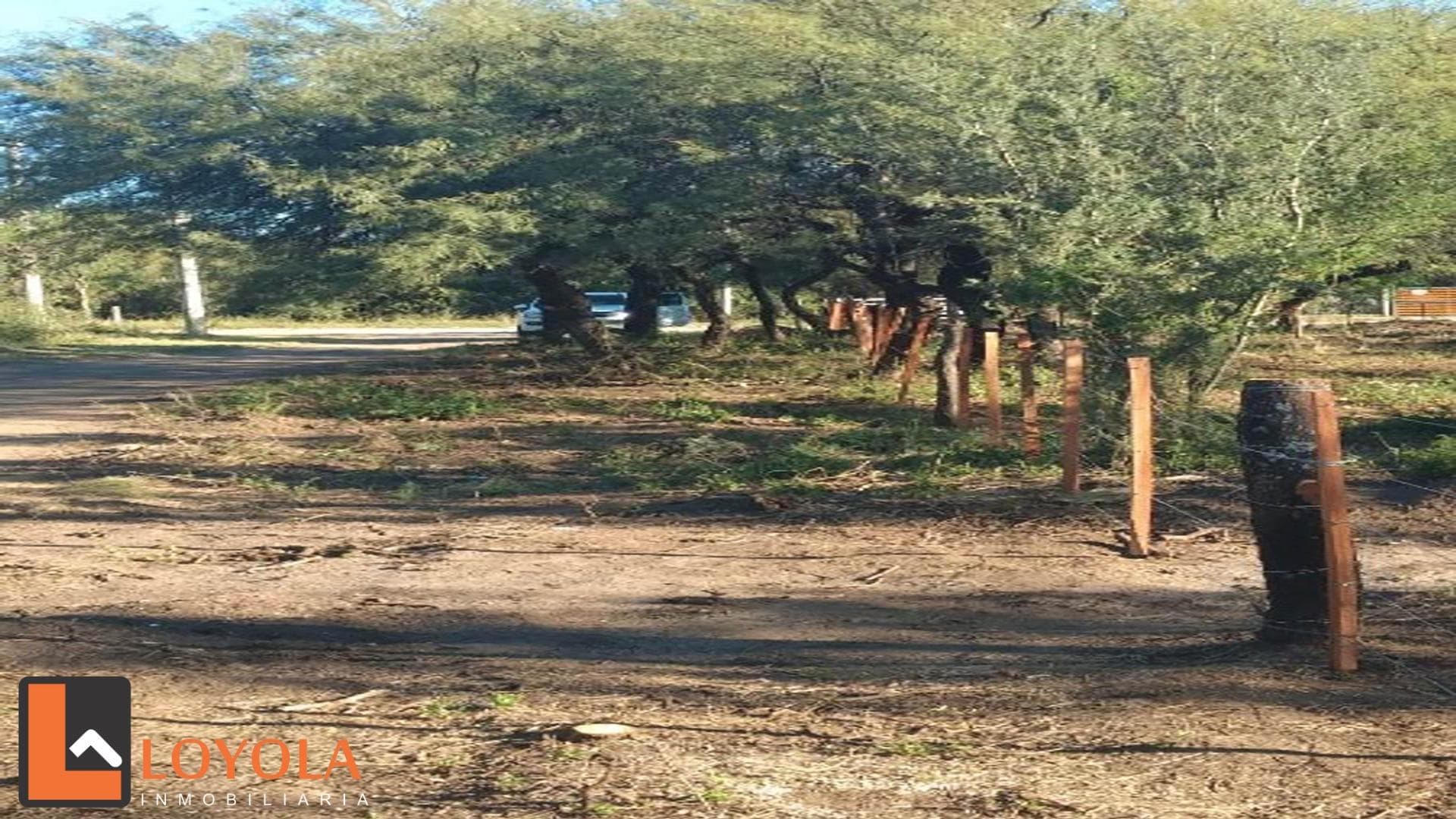 Doroteo Olmedo N° 800 - imagen 9