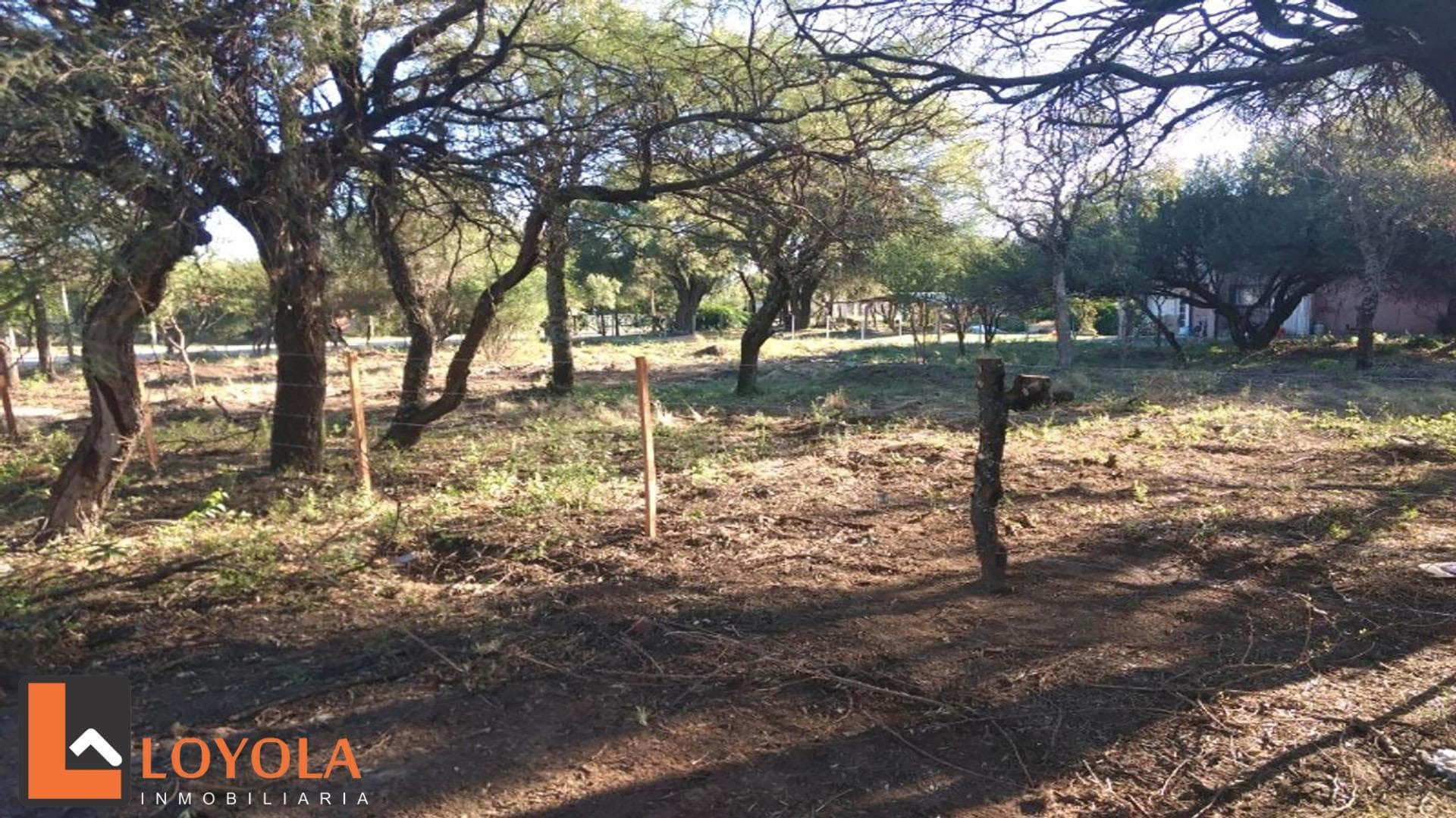 Doroteo Olmedo N° 800 - imagen 8