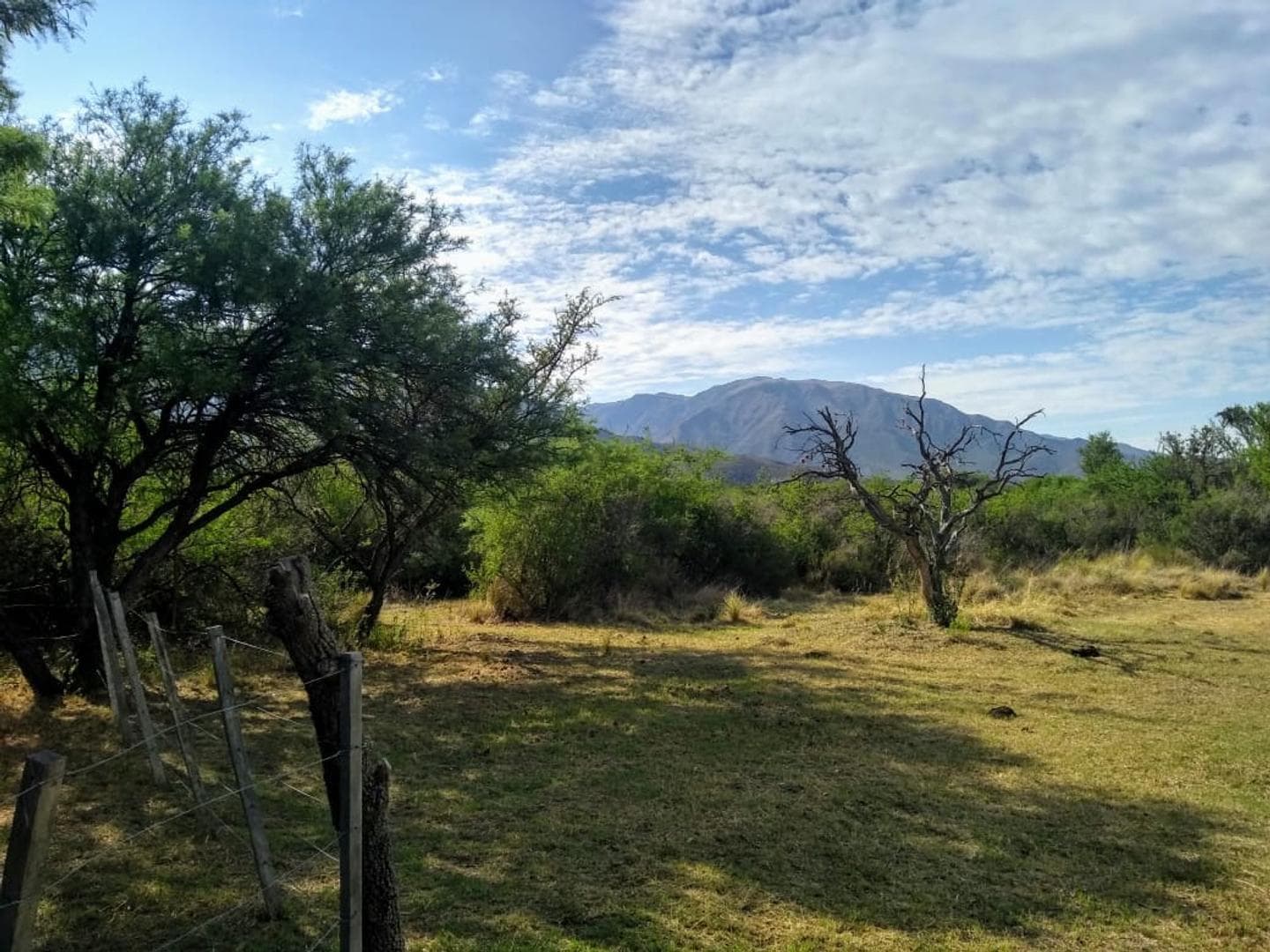A 2km De La Ruta N°1 S/N - imagen 5