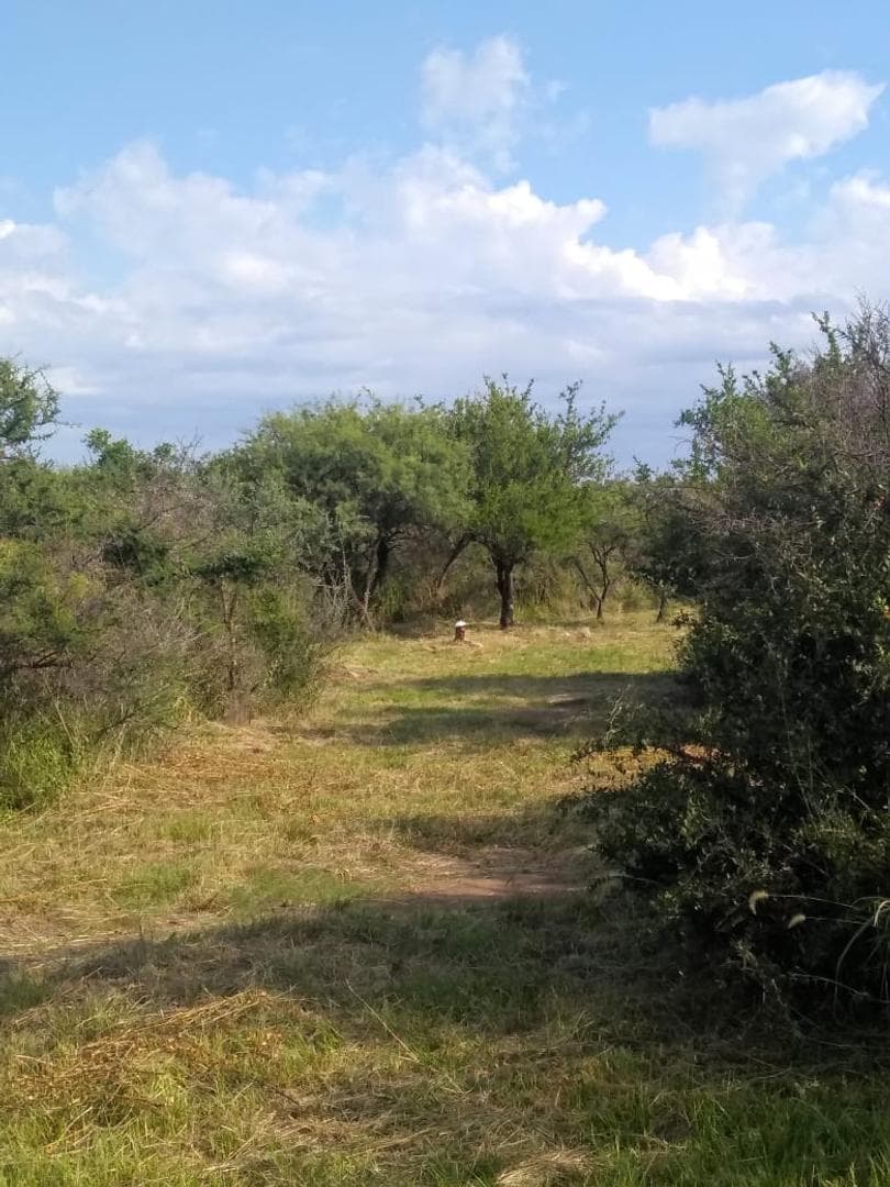 A 2km De La Ruta N°1 S/N - imagen 4
