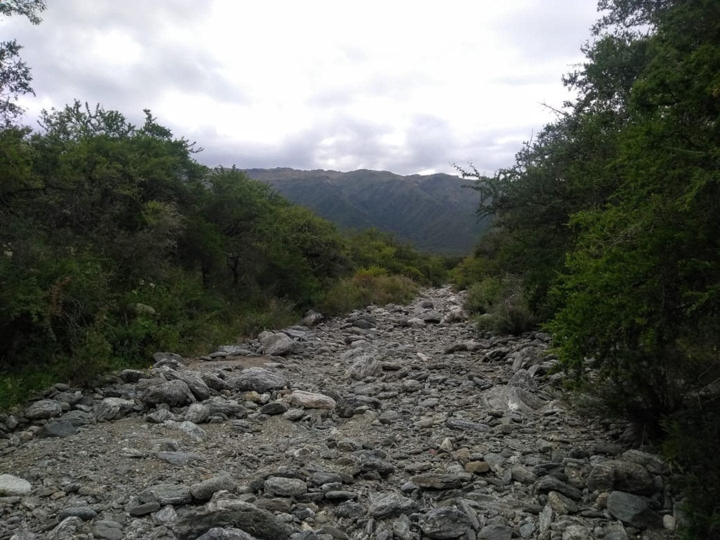 A 2km De La Ruta N°1 S/N - imagen 6