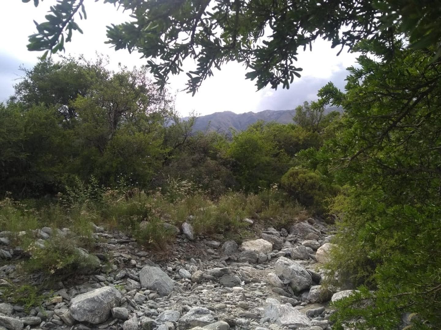 A 2km De La Ruta N°1 S/N - imagen 8