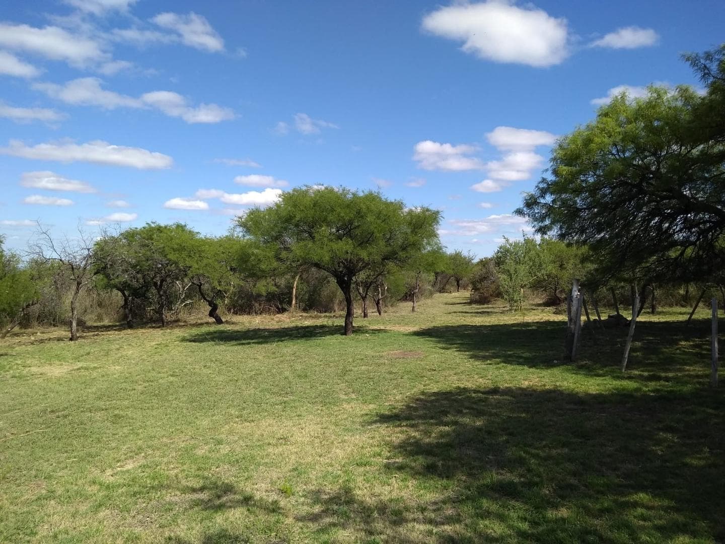 A 2km De La Ruta N°1 S/N - imagen 3