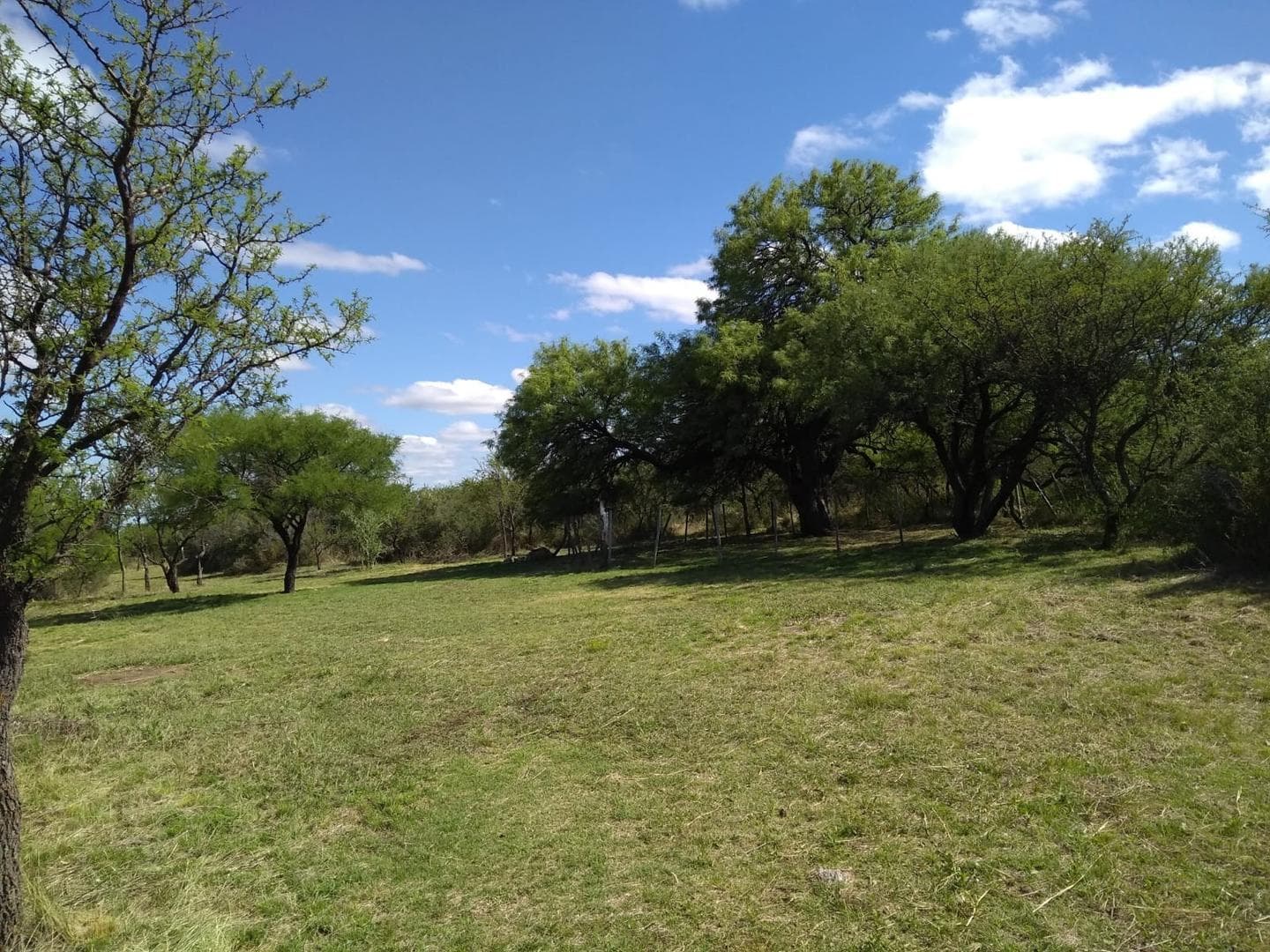 A 2km De La Ruta N°1 S/N