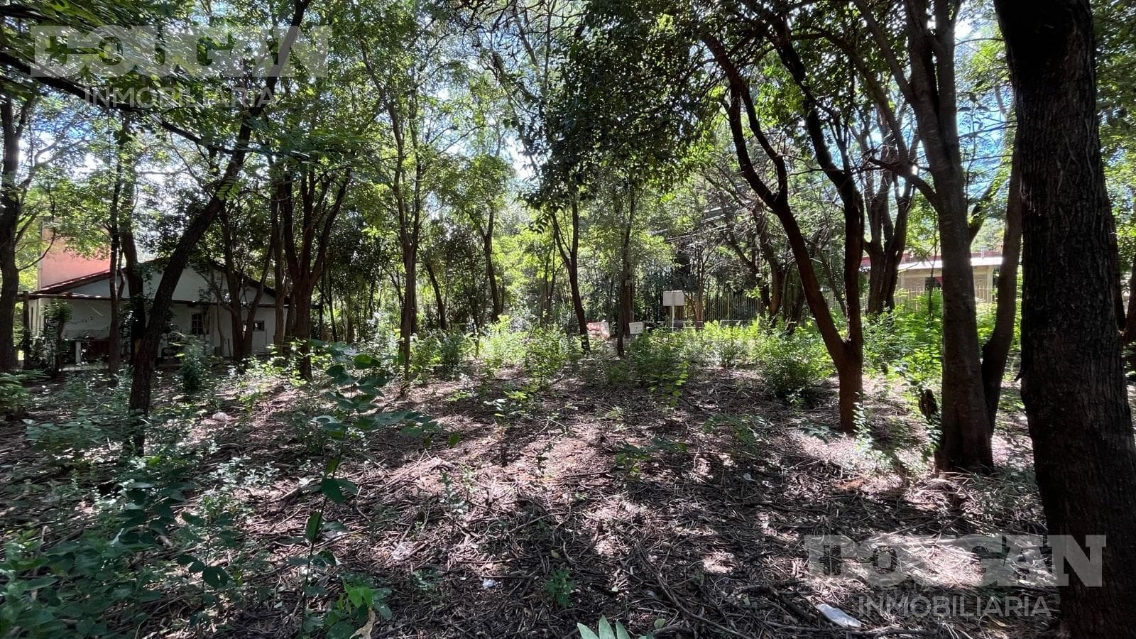 Terreno en Venta en Rincon Del Este - Merlo - imagen 7