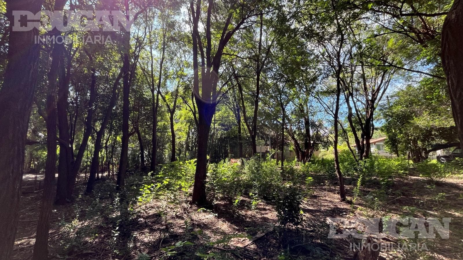 Terreno en Venta en Rincon Del Este - Merlo - imagen 6