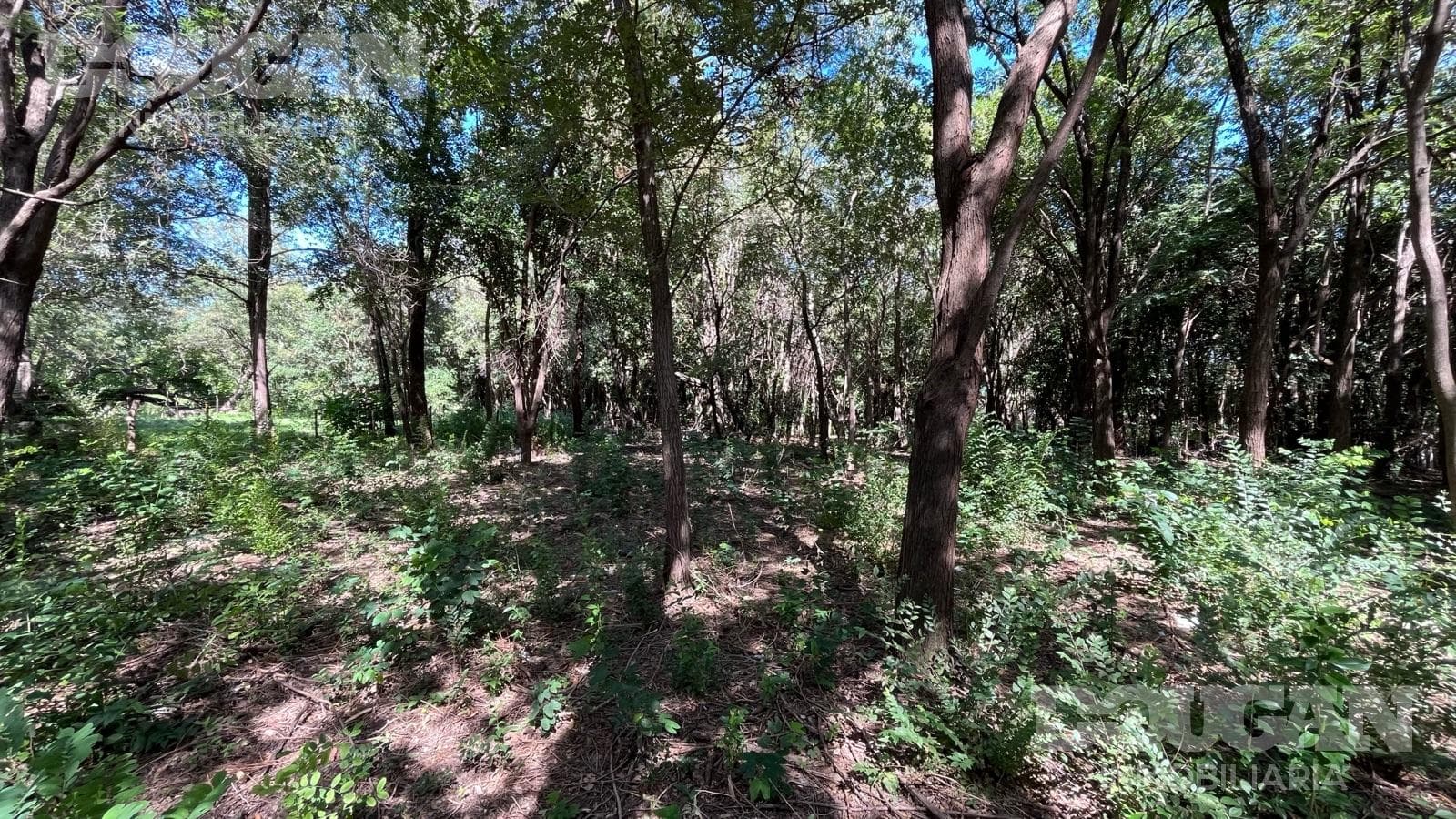 Terreno en Venta en Rincon Del Este - Merlo - imagen 5