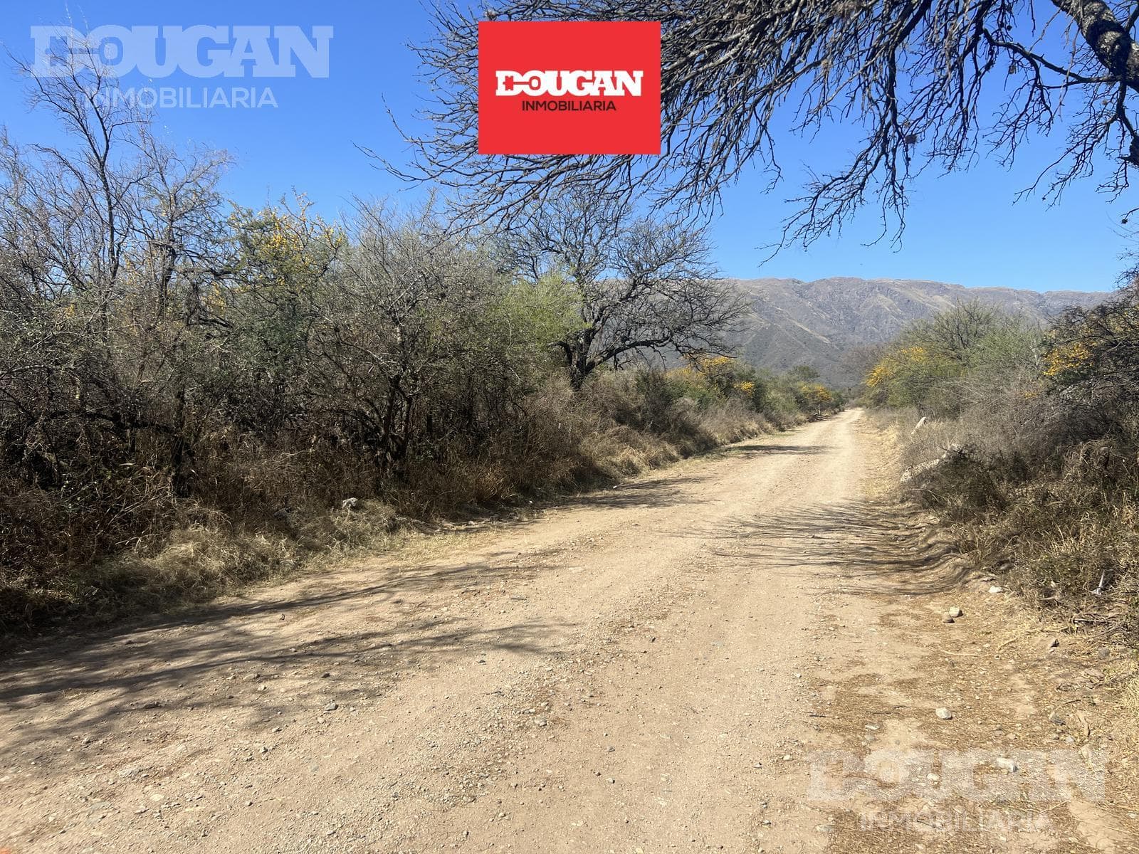 Terreno en Venta en Los Molles - Calle 14 S/N