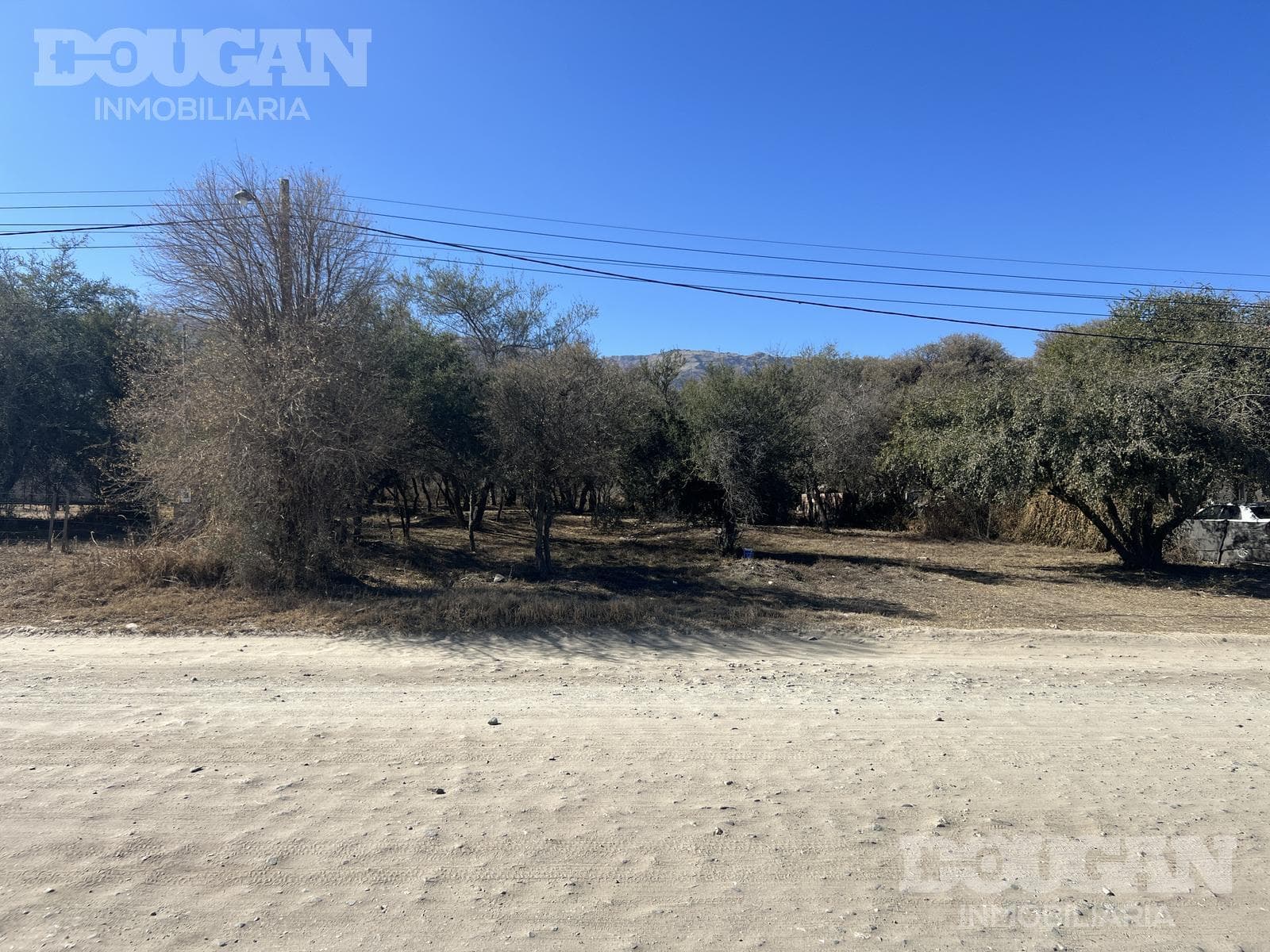 Terreno en Venta en Barrio Parque - Avenida Eva Duarte - imagen 8