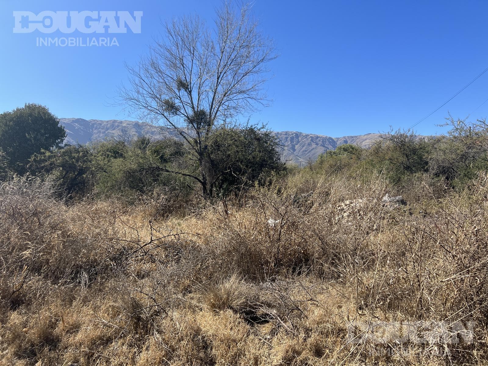 Terreno en Venta en Nuevo Merlo - Cerro Áspero esquina Benavidez - imagen 3