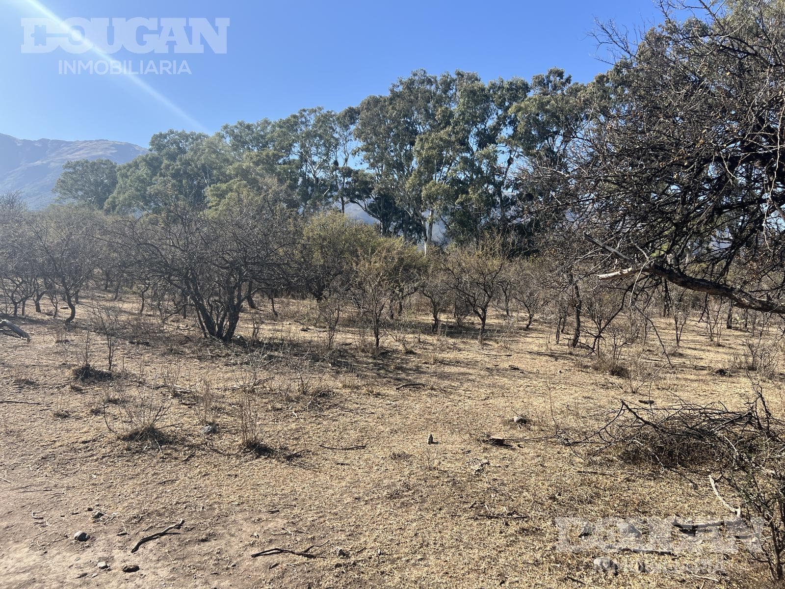 Terreno en Venta en Cerro de Oro - Avenida Pepe Mercau - imagen 9