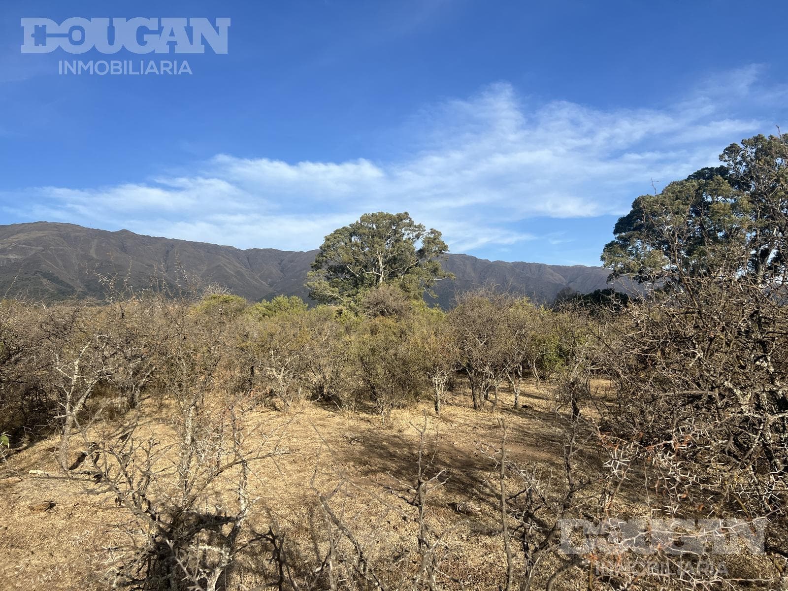 Terreno en Venta en Cerro de Oro - Avenida Pepe Mercau - imagen 13