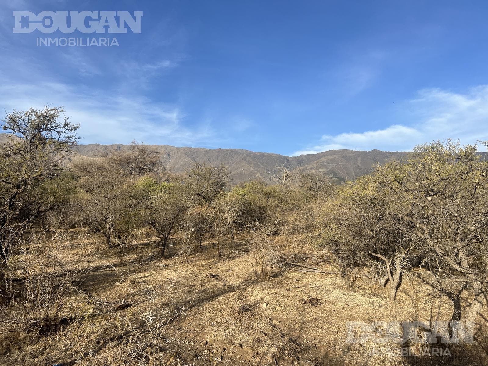 Terreno en Venta en Cerro de Oro - Avenida Pepe Mercau - imagen 16
