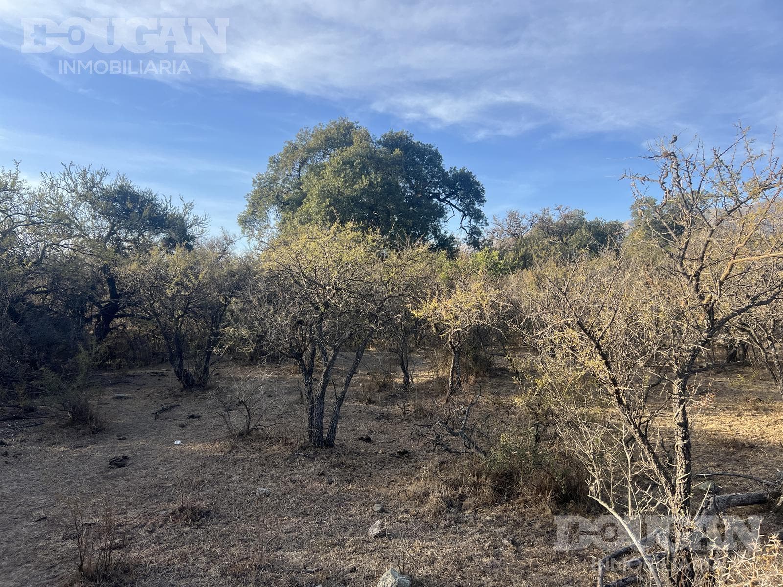 Terreno en Venta en Cerro de Oro - Avenida Pepe Mercau - imagen 17