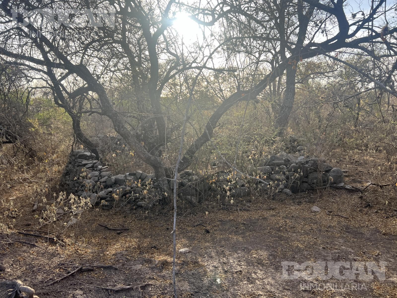 Terreno en Venta en Cerro de Oro - Avenida Pepe Mercau - imagen 14