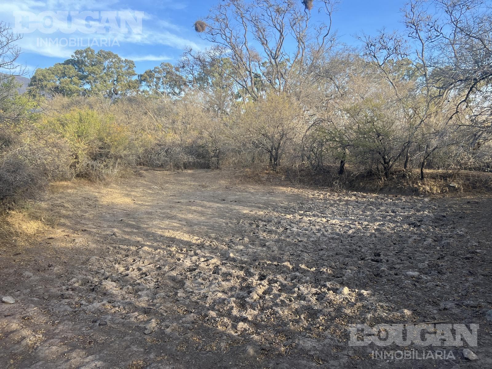 Terreno en Venta en Cerro de Oro - Avenida Pepe Mercau - imagen 15