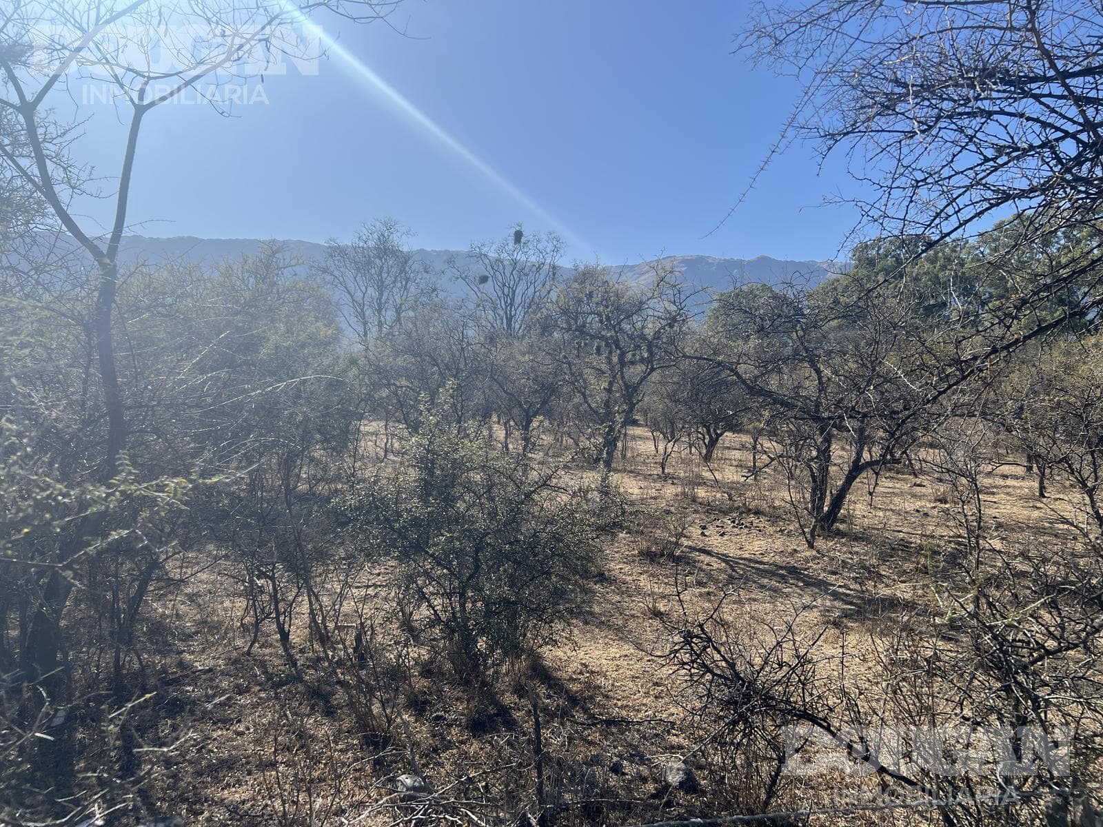 Terreno en Venta en Cerro de Oro - Avenida Pepe Mercau - imagen 7