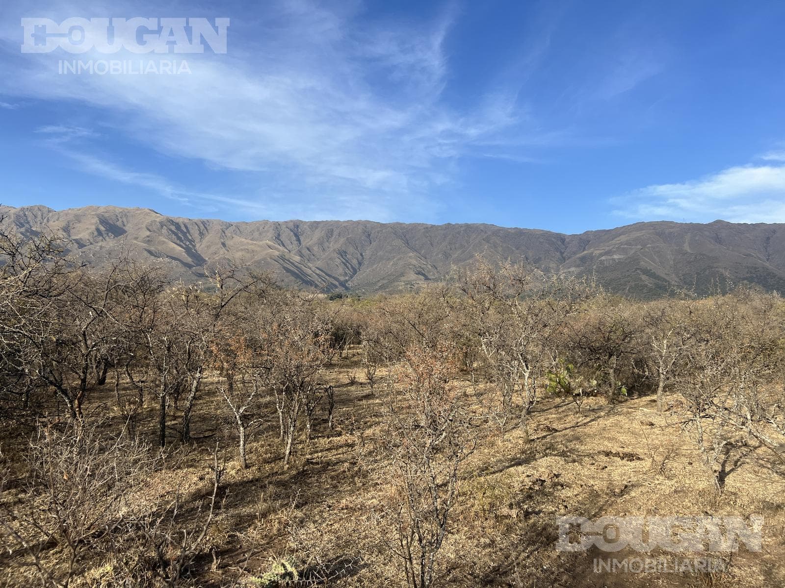 Terreno en Venta en Cerro de Oro - Avenida Pepe Mercau - imagen 11