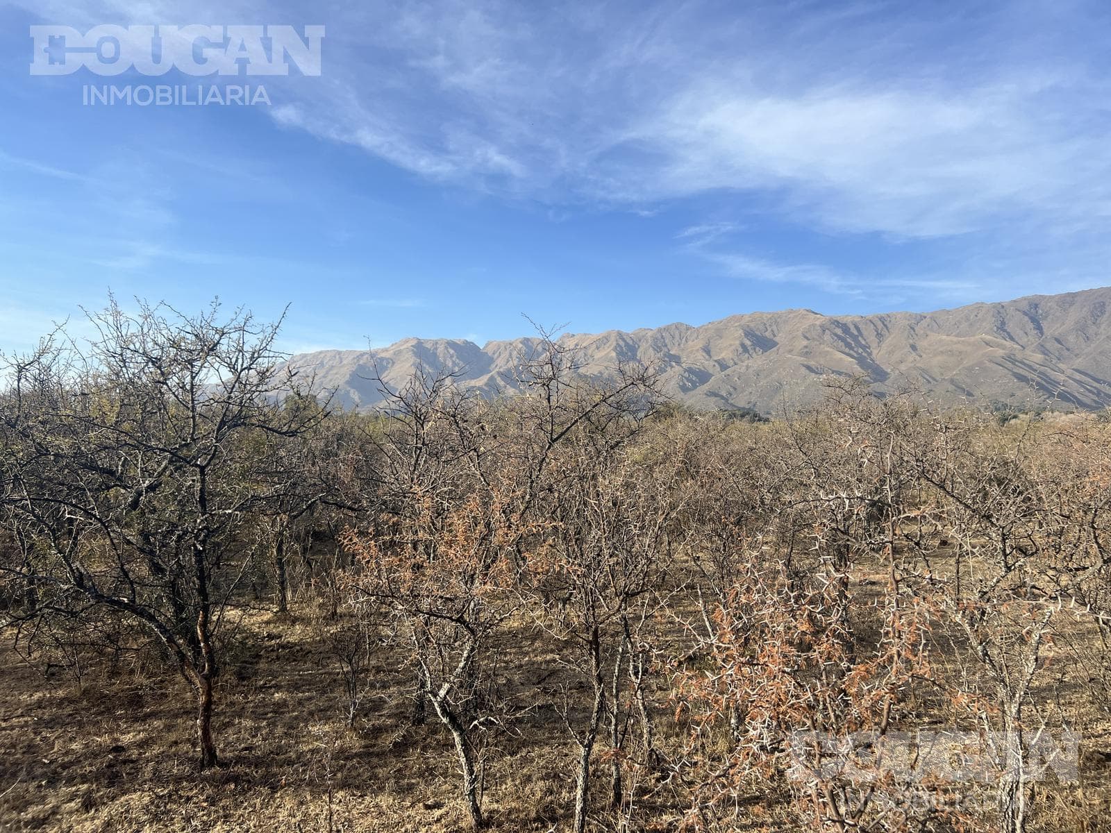 Terreno en Venta en Cerro de Oro - Avenida Pepe Mercau - imagen 12
