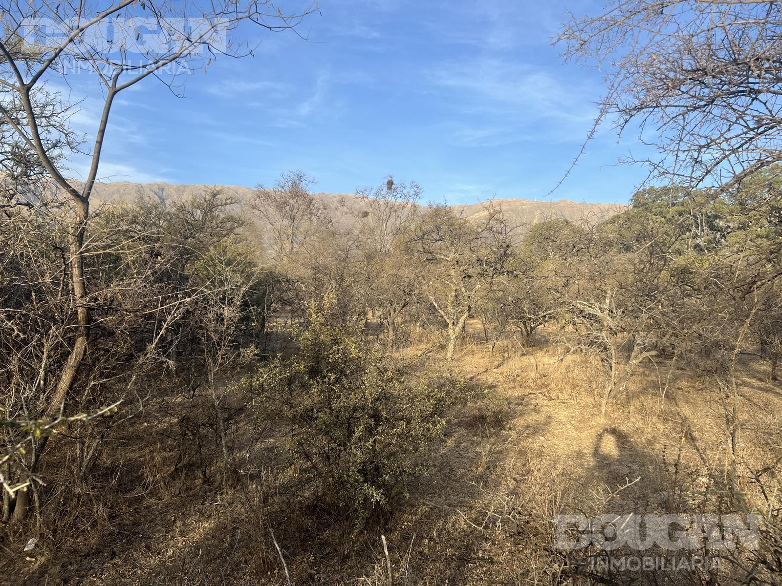 Terreno en Venta en Cerro de Oro - Avenida Pepe Mercau
