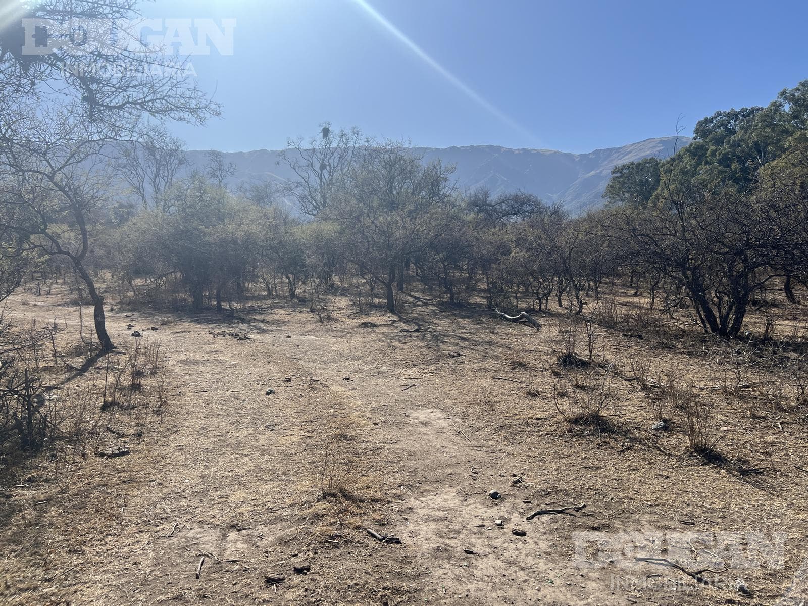 Terreno en Venta en Cerro de Oro - Avenida Pepe Mercau - imagen 8