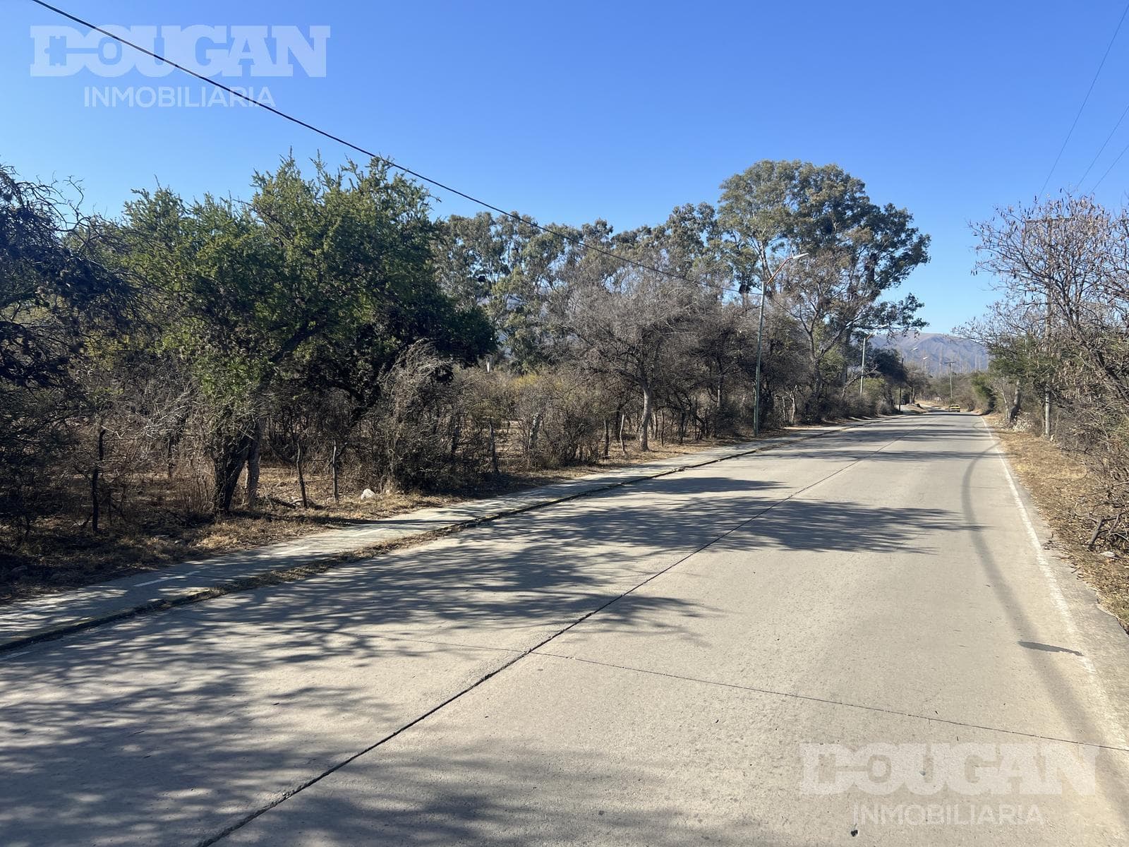 Terreno en Venta en Cerro de Oro - Avenida Pepe Mercau - imagen 6