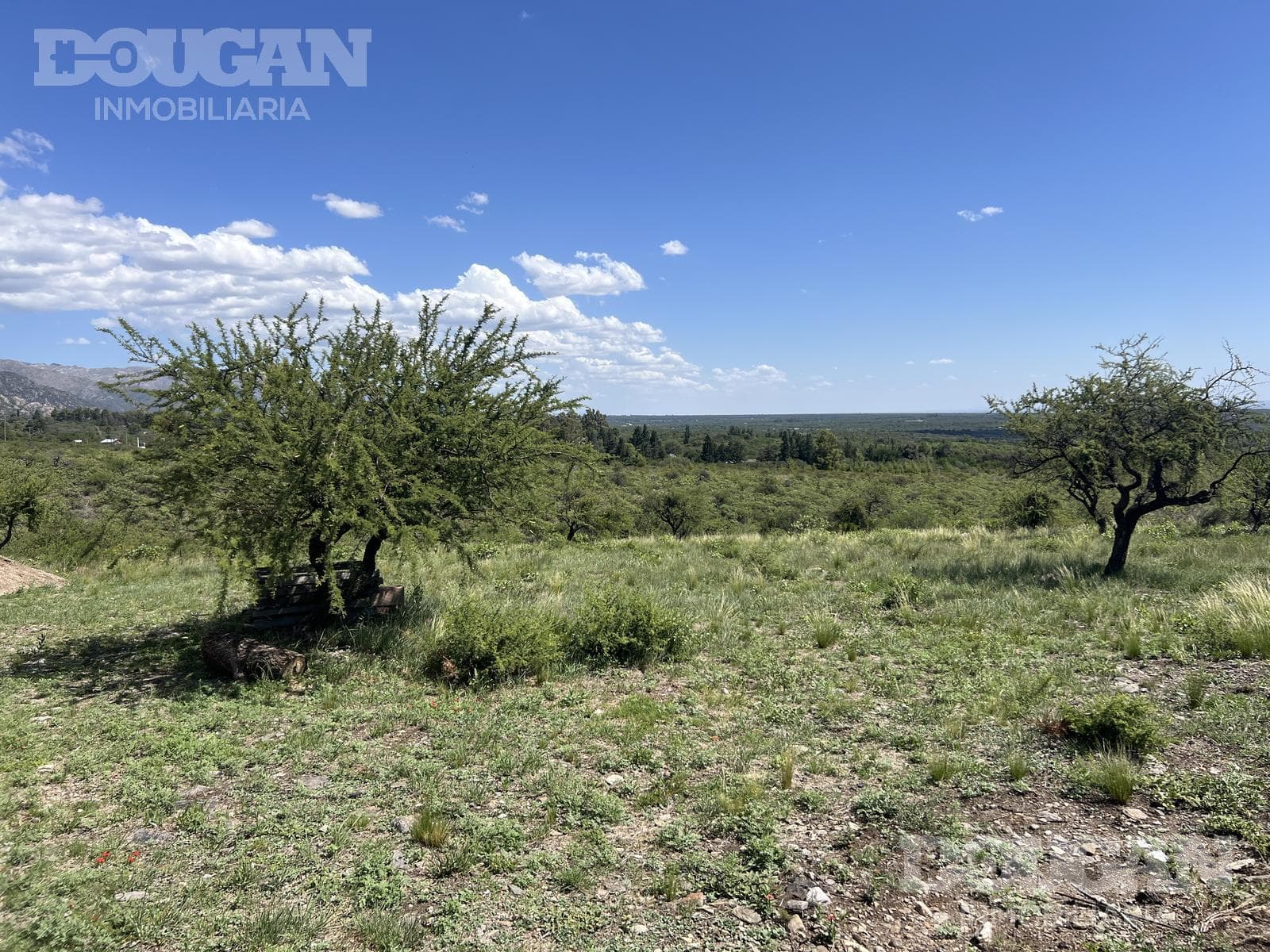 Casa en Venta en Villa Elena - Los Pinos - imagen 8