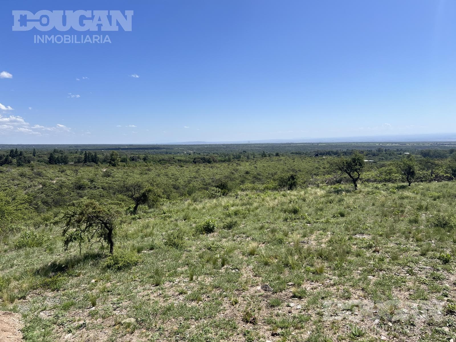 Casa en Venta en Villa Elena - Los Pinos - imagen 12