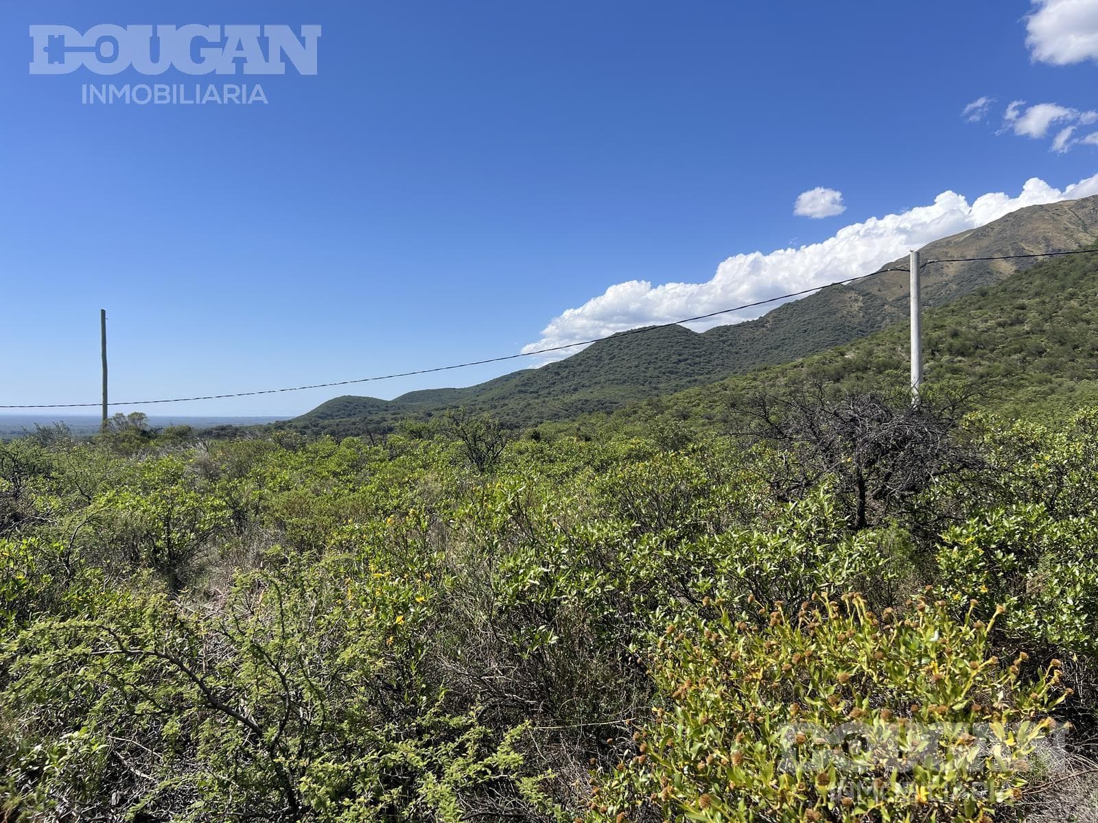 Casa en Venta en Villa Elena - Los Pinos - imagen 7