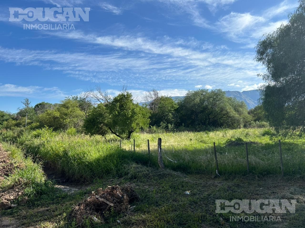 Terreno en Venta en Ruta Provincial 5 - Ruta 5 - imagen 9