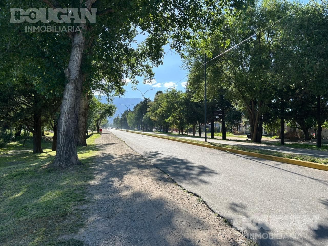 Terreno en Venta en Ruta Provincial 5 - Ruta 5 - imagen 4